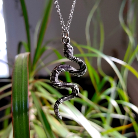 Jewelry - Silver Snake Necklace